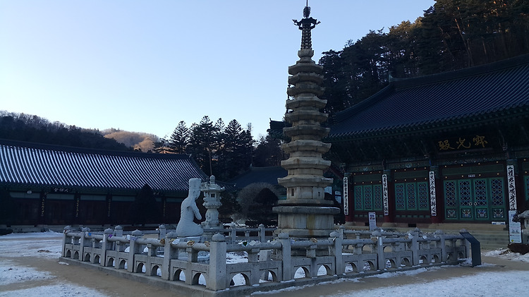 33평 아파트청소 후 주방,거실마루코팅 25만원에 했어요