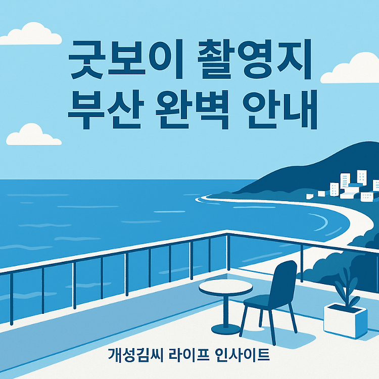 굿보이 촬영지 부산 정리! 천마산 에코하우스부터 흰여울까지 여행 코스 완벽 안내 주제 시각자료