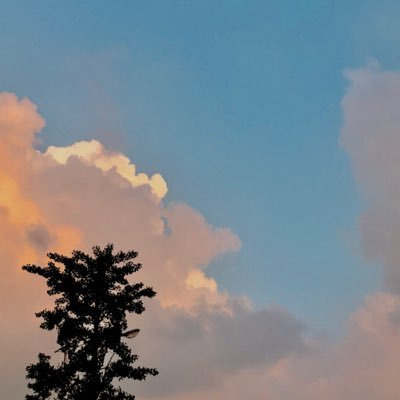 (오늘의 이야기). 4