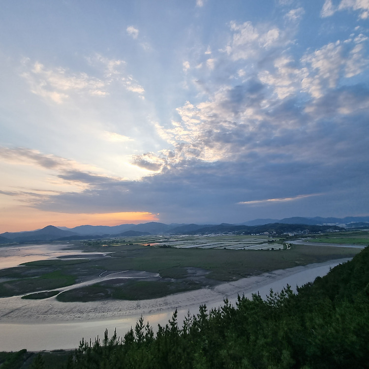 순천 가볼만한곳 순천만습지 용산전망대 정보 순천여행