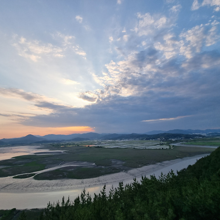 순천 가볼만한곳 순천만습지 용산전망대 정보 순천여행