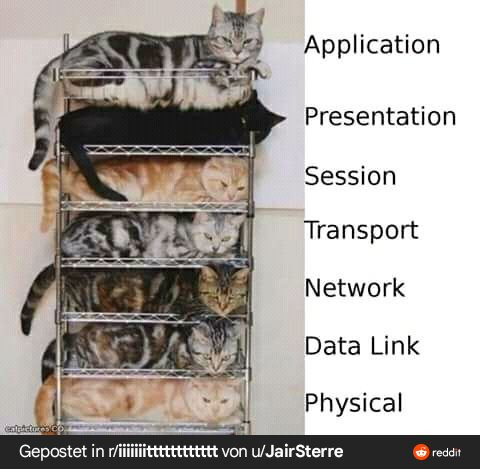 [Network] Network Layer, 포워딩과 라우팅을 알아보자.