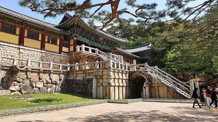 [4월 휴가#6] 경주 여행 - 불국사 / 겹벚꽃 군락지  / 석가탑 / 다보탑 / 청운교 / 백운교
