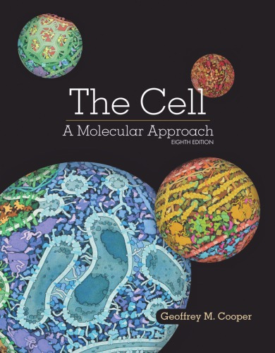 Chapter 4. Fundamentals of Molecular Biology