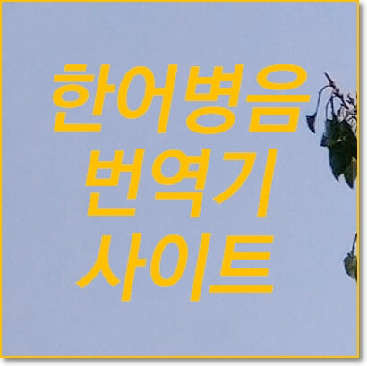 한어병음 번역기로 중국어 발음 번역하는 사이트 추천의 표지이미지