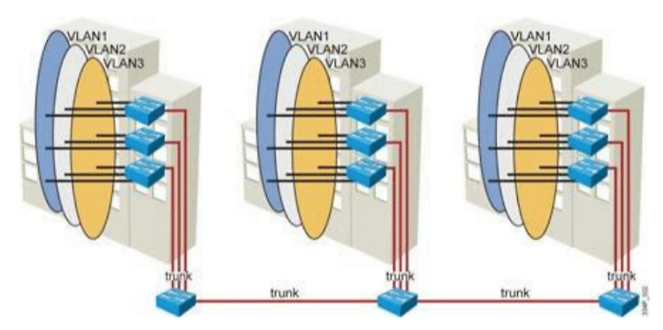 [네트워크] End-to-End VLAN과 Local VLAN 비교하기