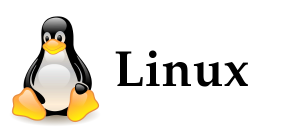 [Linux] XShell 세션 생성 및 리눅스 SSH 원격 접속하기 실습