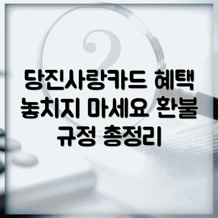 당진사랑카드 소득공제 환불규정 | 사용법 총정리 | 놓치면 후회할 혜택 썸네일