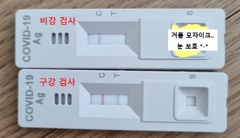 [일상] 코로나 재감염, 일주일 격리, 유급휴가