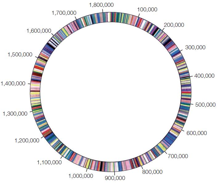 Chapter 5. Genomics, Proteomics, and Systems Biology