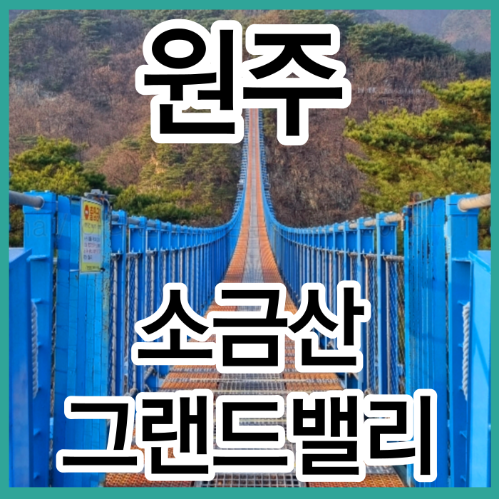 원주여행 소금산그랜드밸리 출렁다리 울렁다리