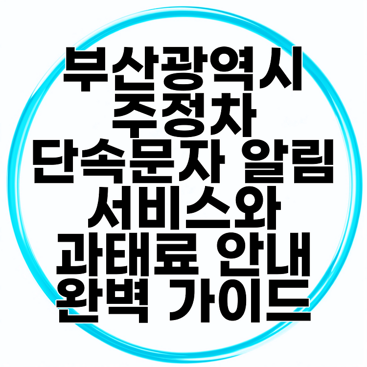 부산광역시 주정차 단속문자 알림 서비스와 과태료 안내 완벽 가이드 썸네일