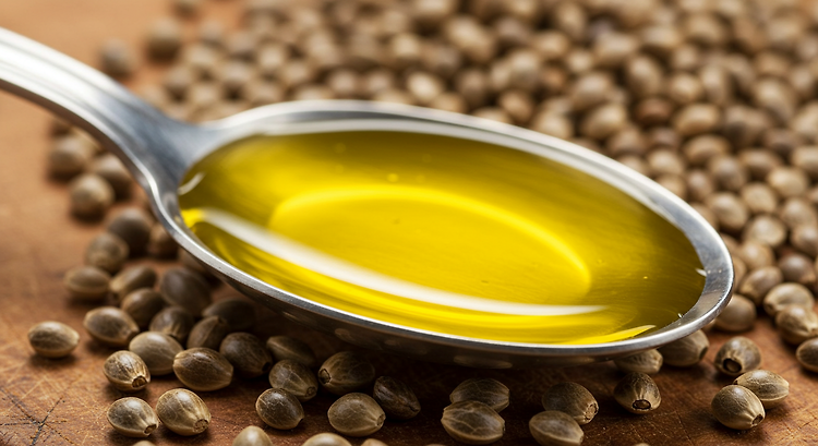 대마종자유(Hemp Seed Oil), 먹어도 될까? 효능부터 섭취법까지 포스트 썸네일
