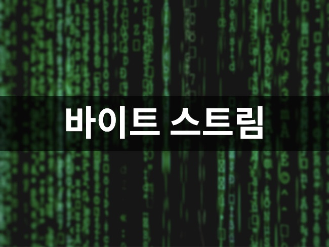 바이트 스트림 (Byte Stream)