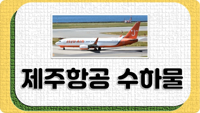 제주항공 수하물 규정 알아봐요의 표지이미지