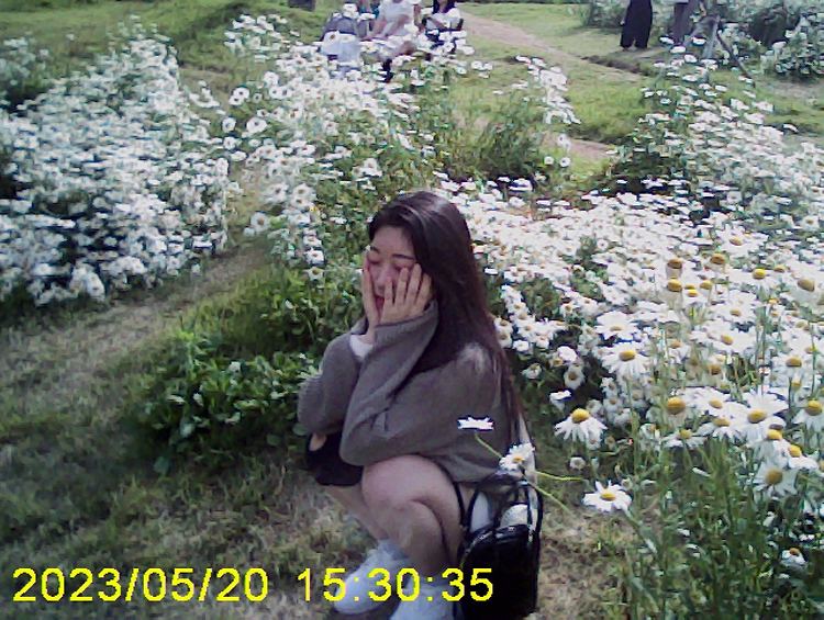 article thumbnail