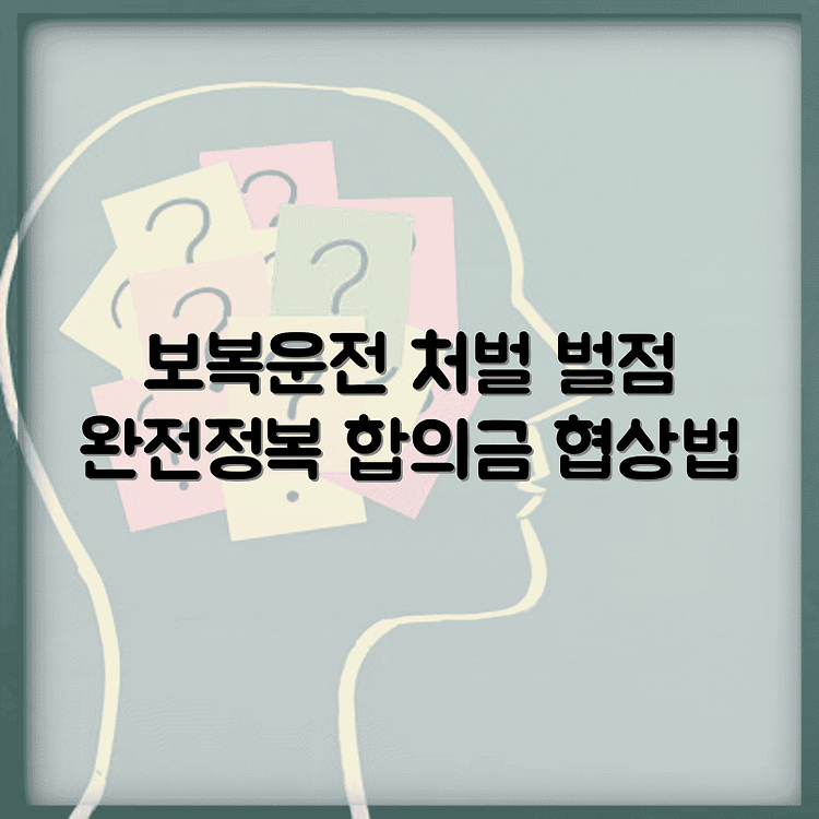 보복운전처벌수위 신고방법 | 벌점 체계 이해하기 | 합의금 협상 팁 썸네일