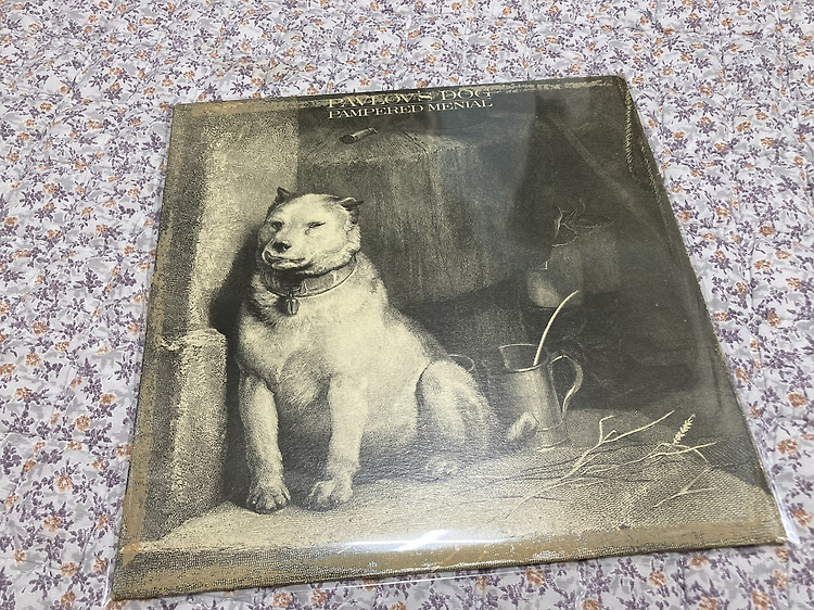 파블로프스 도그(Pavlov's Dog) 1집 'Pampered Menial' LP(바이닐) 리뷰 포스트 썸네일