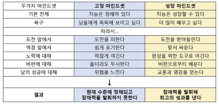 성장하고 싶은 사람이 해야하는 인지적 활동.