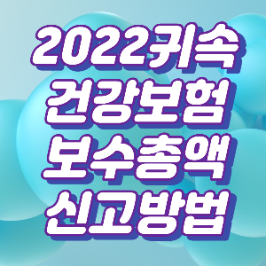 2022년 귀속 건강보험 보수총액 신고방법(건강보험 EDI)