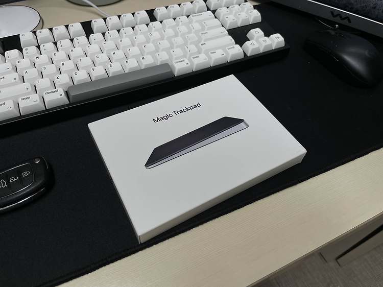 Apple Magic Trackpad (2021) 구매 - Windows에 비싼 터치패드 쓰기