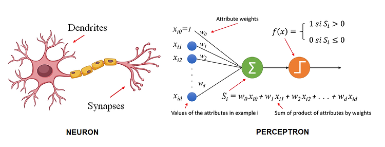 History of Neural Network