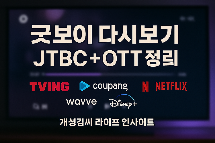 굿보이 다시보기 JTBC 재방송 채널과 OTT 시청법 총정리 주제 시각자료