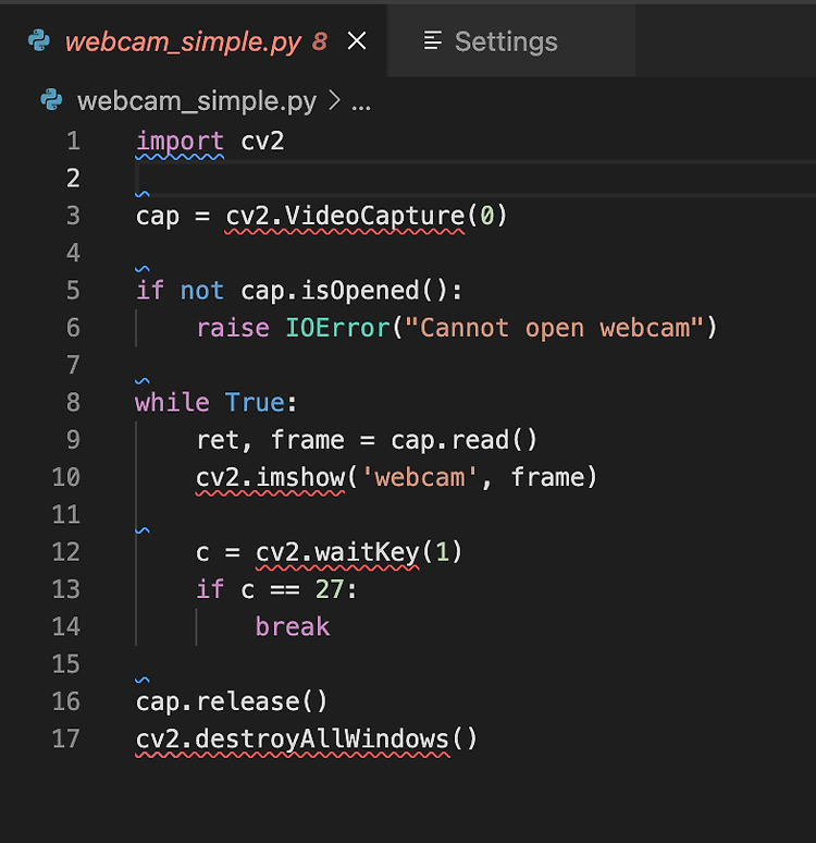 Visual Studio Code의 Pylint에서 cv2 모듈과 멤버 인식이 안되는 경우 해결방법