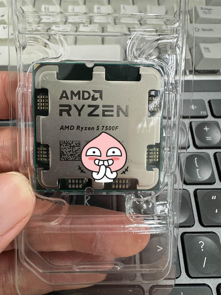 AMD Ryzen5 7500F(ft. 알리산)