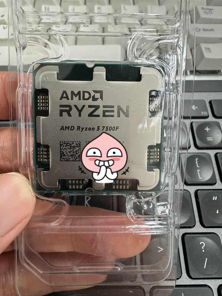 AMD Ryzen5 7500F(ft. 알리)