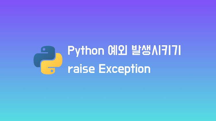 Python에서 예외 발생시키는 방법 (raise Exception)