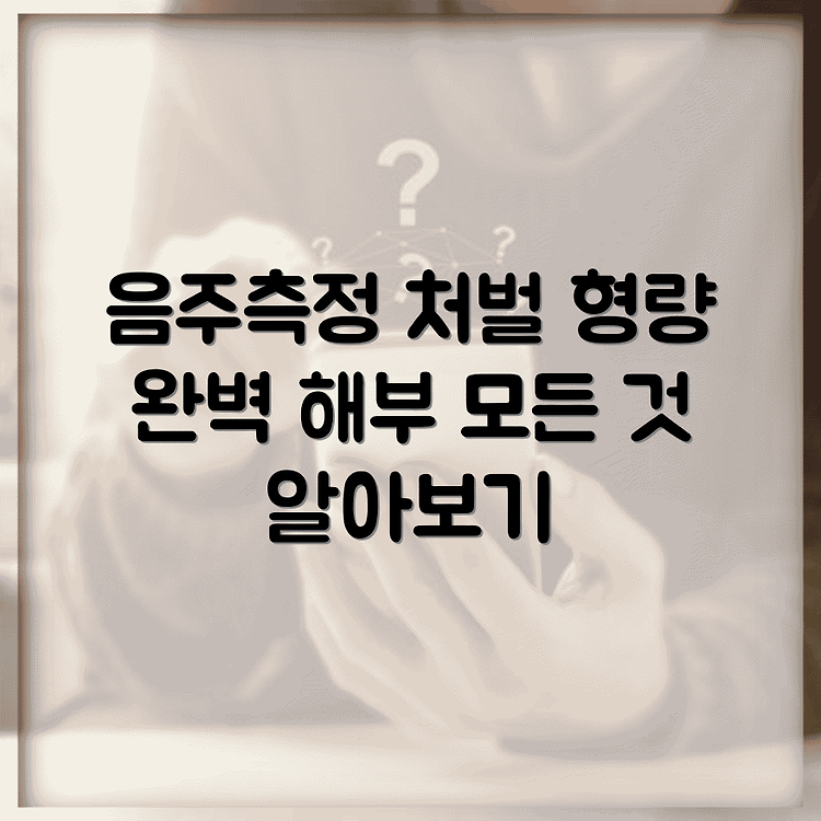 음주측정 거부의 처벌 기준과 형량에 대한 모든 것 썸네일