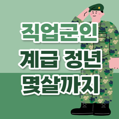 군인 계급과 정년: 직업군인의 계급별 정년은 몇 살일까