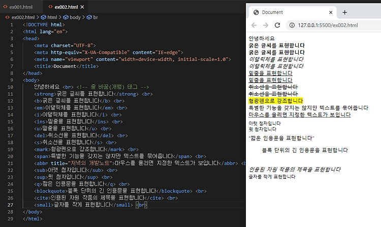 [HTML 기초 문법] 텍스트 관련 태그(더미 텍스트로 실습하기)