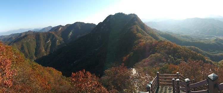 소요산과 오적산의 임상 활용