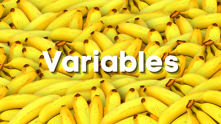 Dart : Variables 포스팅 썸네일 이미지