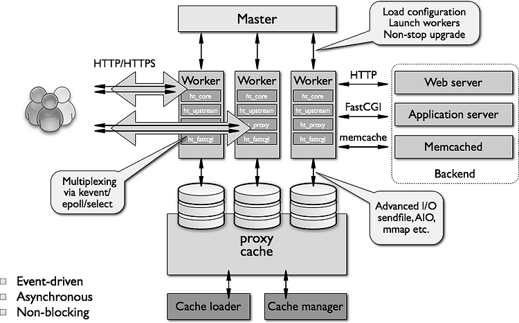 Nginx: 현대 웹 서버의 진화