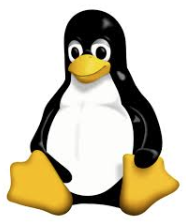 '[Linux CentOS]  vi 정리 // 별도 : nano' 포스트 대표 이미지