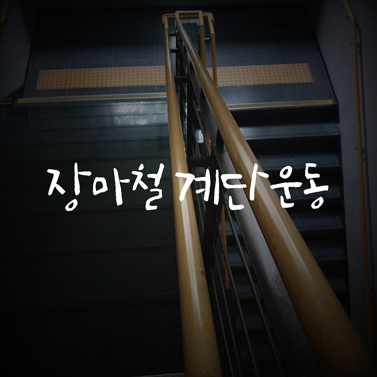 운동은 가볍게 하자/계단 오르기 운동(상)' 카테고리의 글 목록