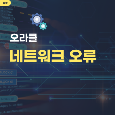 Ora-12170: Tns: 접속 시간 초과가 발생함(Tns:Connect Timeout Occurred), Ora-12560: Tns:  프로토콜 어댑터 오류(Tns:Protocol Adapter Error), Ora-12571: Tns: 패킷 기록자 실패(Tns:Packet  Writer Failure)