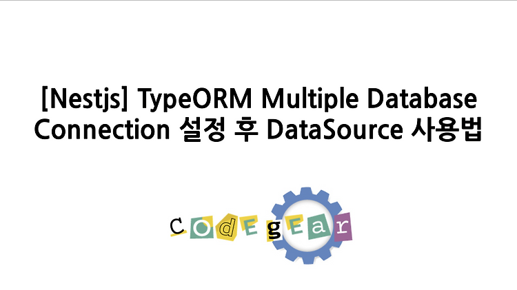 [Nestjs] TypeORM Multiple Database Connection 설정 후 DataSource 사용법 :: 코드 ...