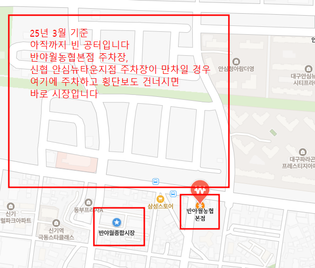 [대구/가볼만한 곳] 25년 3월 1일 "반야월 5일장" 탐방기 #반야월시장  #반야월종합시장 #반야월5일장 #대구여행지 #나홀로여행 포스트 썸네일