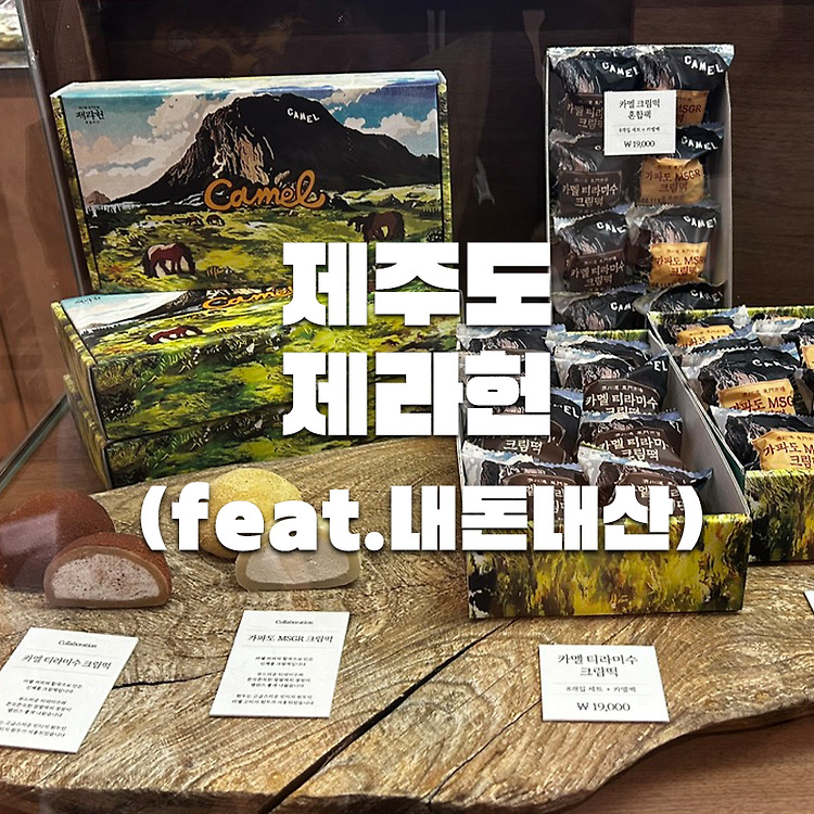 🧁 제주 감성 디저트의 반전 매력! 제라헌 X 카멜카페 콜라보 크림떡 솔직 리뷰🍡 feat.내돈내산 포스트 썸네일