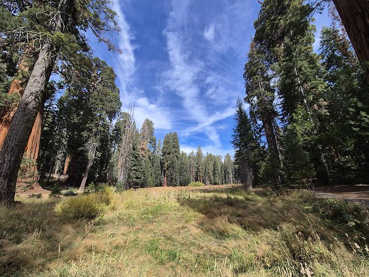 '24년 10월 둘째 주: Sequoia National Park' 포스트 대표 이미지