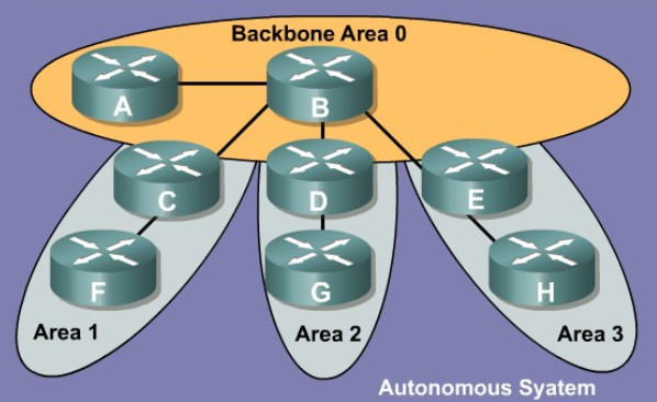 OSPF(Open Shortest Path First) 개념 (1)