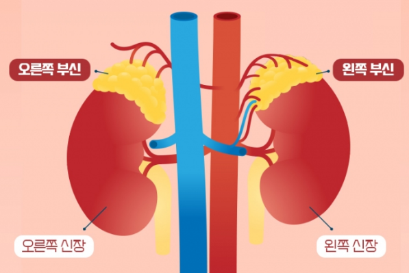 한포진/PMS/부신피로/영양제😪