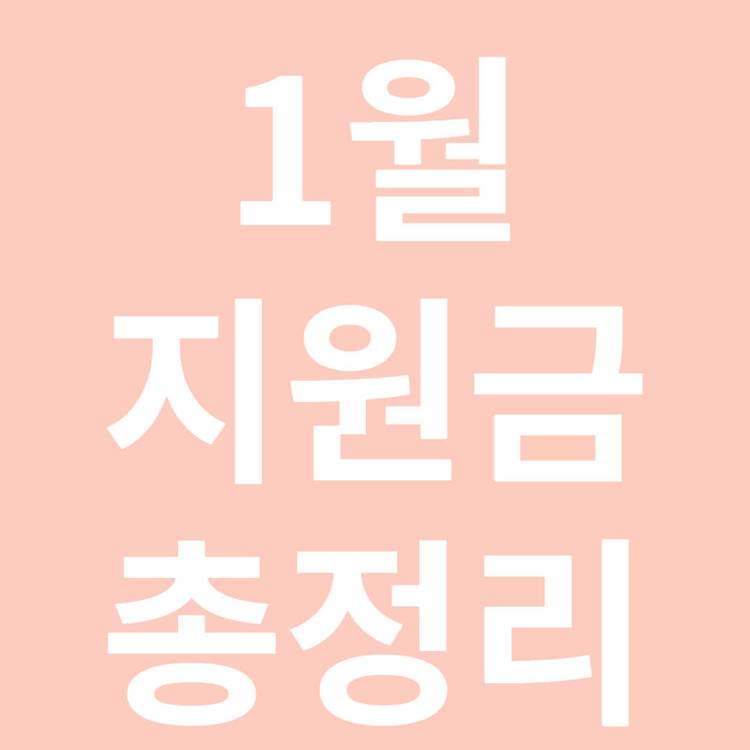1월 지원금 총정리(소상공인, 중소기업)