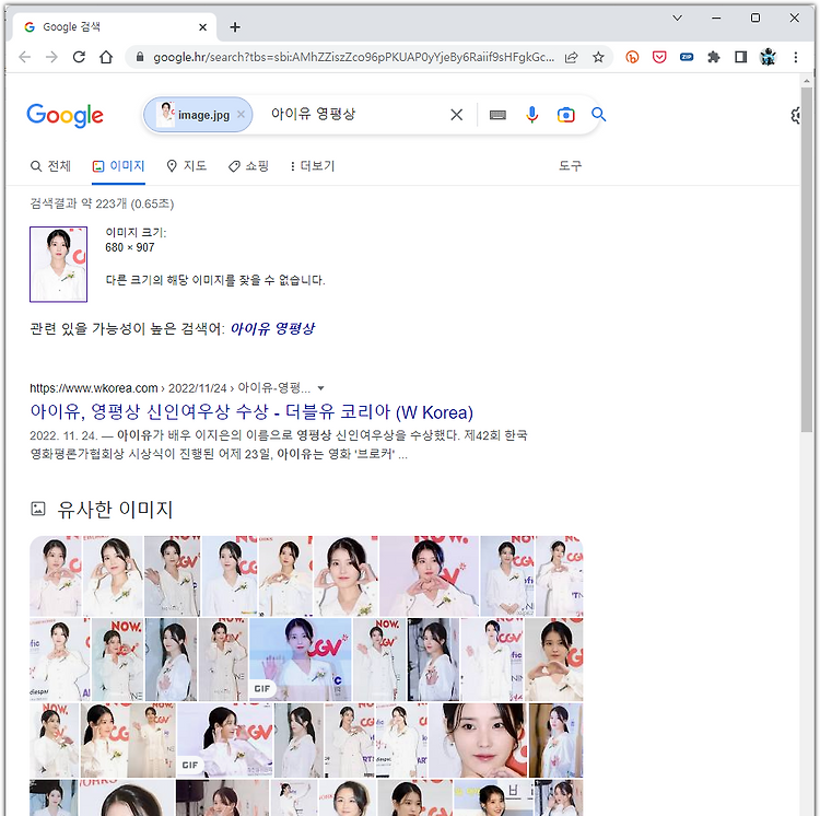 이미지 파일로 구글 이미지 검색하는 파이썬 코드(requests, webbrowser 사용)