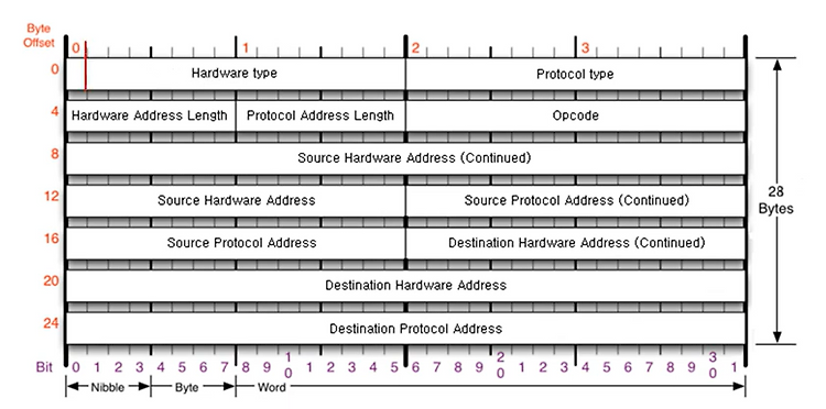 [네트워크] 3계층 - ARP 프로토콜