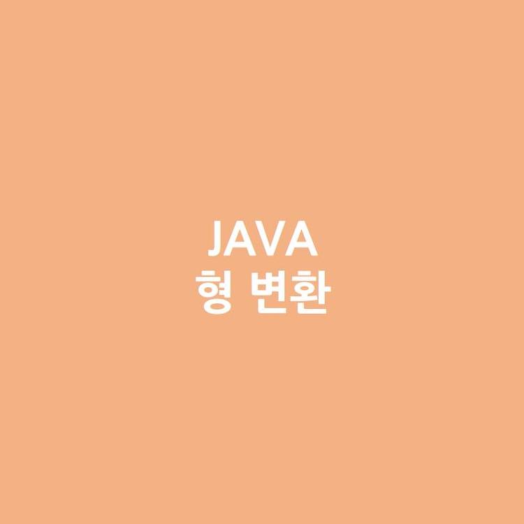 [Java] Java의 형 변환 알아보기